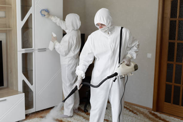 Best Industrial Mold Remediation in Edgewood, NM