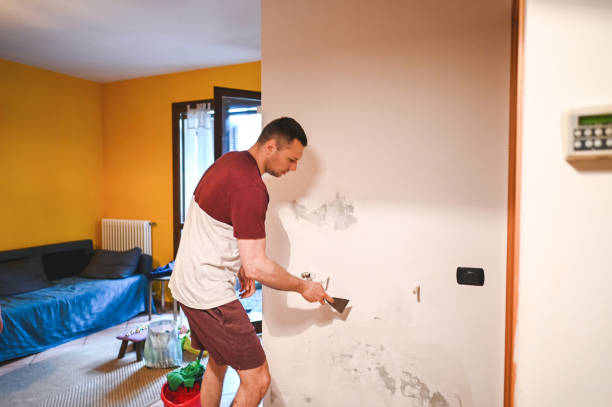 Best Mold Testing and Inspection Services in Edgewood, NM